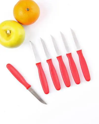 سكين الفاكهة أدوات المائدة روك مع مقبض بلاستيكي