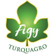 turquagro figy ბუნებრივი და ჯანსაღი ლეღვის ჩირი ინდაურიდან ექსპორტზე