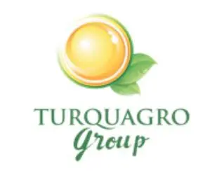 turquagro figy 輸出用の七面鳥からの自然で健康的な干しイチジク