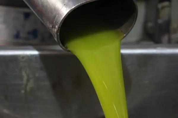 оливковое масло высшего качества из индейки оптом, 2022 г.